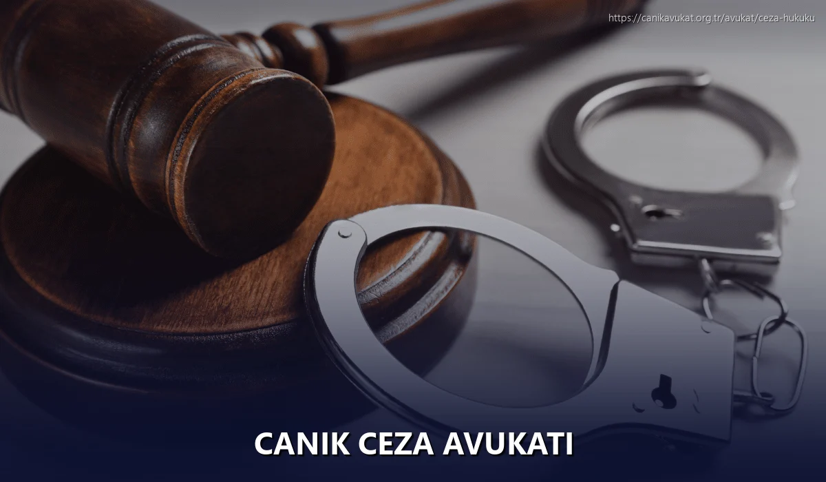 Canik Ceza Avukatı